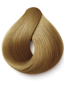 Instant Dye Shampoo