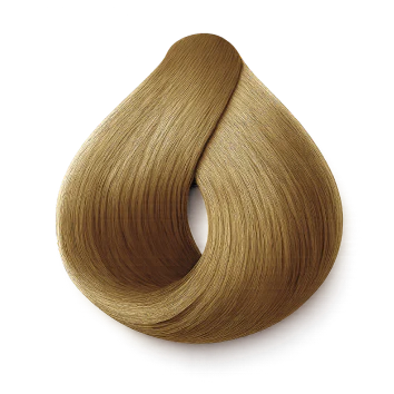 Instant Dye Shampoo
